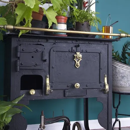 Apartament Casa Vitoriana *