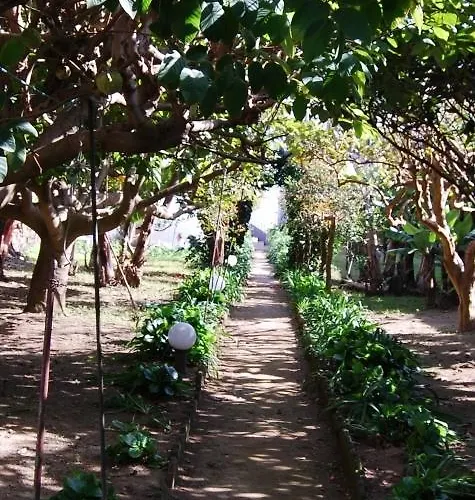 Daire Casa Vitoriana *